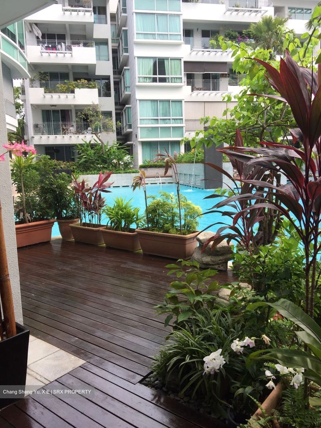The Stellar (D5), Condominium #508518511